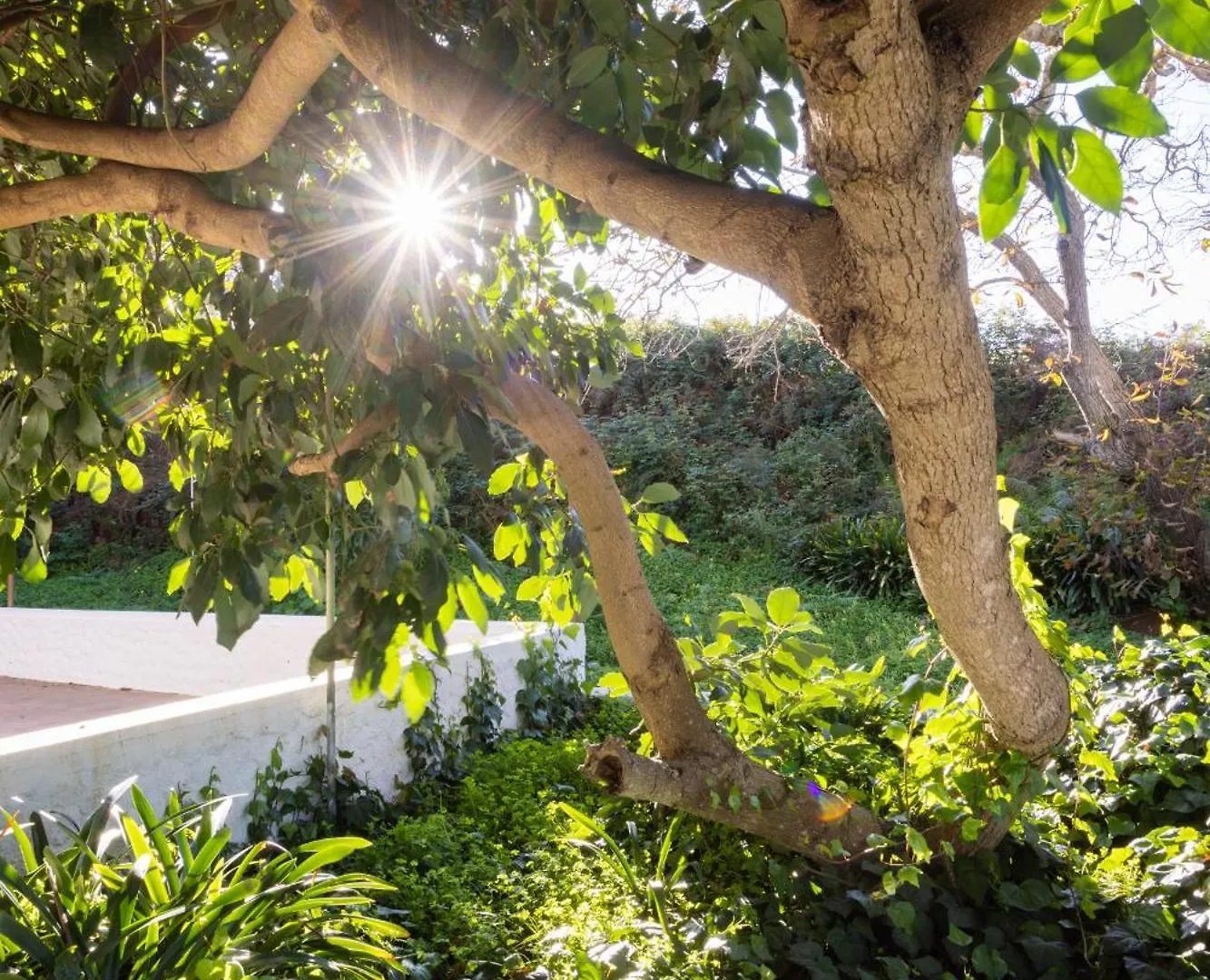 Holiday home Lightbooking Casa De Campo Ortigal Tenerife La Esperanza
